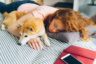 Why Do Stomach Sleepers Need a Special Pillow?